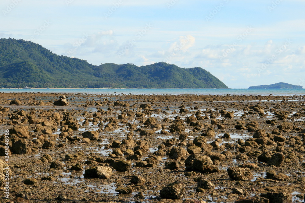 seashore at low tide with bare stones