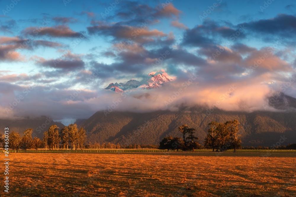 Sunset on meadows under the Fox Glacier / Te Moeka o Tuawe. It is temperate maritime glacier located in Westland Tai Poutini National Park on the West Coast of New Zealand's South Island. Sunset on meadows under the Fox Glacier / Te Moeka o Tuawe. It is temperate maritime glacier located in Westland Tai Poutini National Park on the West Coast of New Zealand's South Island.