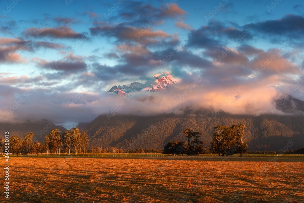 Sunset on meadows under the Fox Glacier / Te Moeka o Tuawe. It is temperate maritime glacier located in Westland Tai Poutini National Park on the West Coast of New Zealand's South Island.