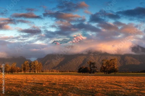 Sunset on meadows under the Fox Glacier / Te Moeka o Tuawe. It is temperate maritime glacier located in Westland Tai Poutini National Park on the West Coast of New Zealand's South Island.