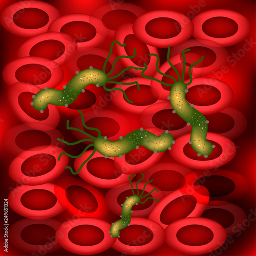 Background of erythrocytes. Helicobacter pylori infection of the blood. Vector illustration