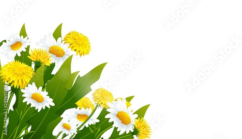 Vector banner with yellow dandelions flowers.Vector banner with flowerson black background.Offer Banner, Poster, Flyer photo