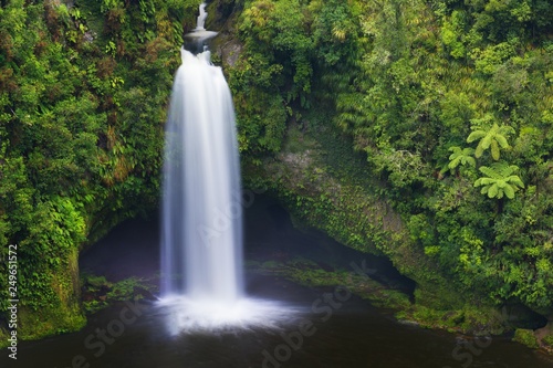 Rain forest to the North Island  New Zealand. Concept of active and ecological tourism. Omanawa Falls on a foggy morning. Beautiful waterfall background