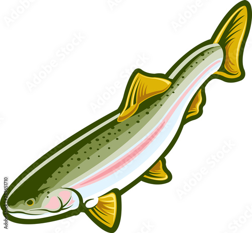 Rainbow trout