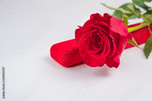 Fototapeta Naklejka Na Ścianę i Meble -  Red rose with gift box on a white background. concept: holiday, congratulations