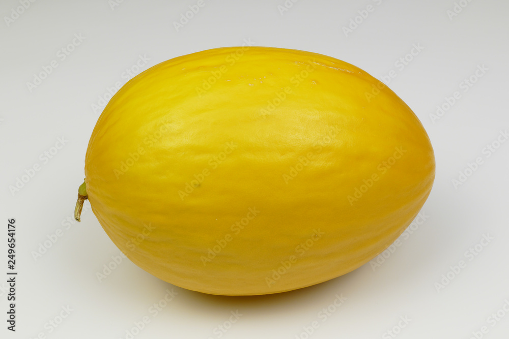 isolated yellow sugar melon