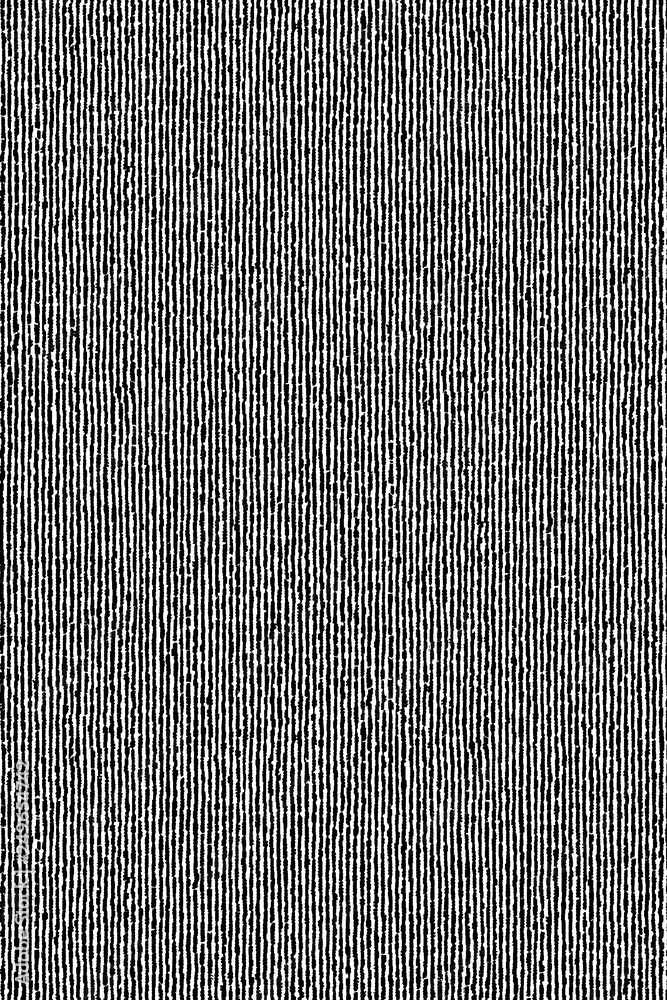 The Black and white lines, Zebra structure. Seamless pattern. The Design for wallpaper, covers, bags and packaging The Black and white lines, Zebra structure. Seamless pattern. The Design for wallpaper, covers, bags and packaging