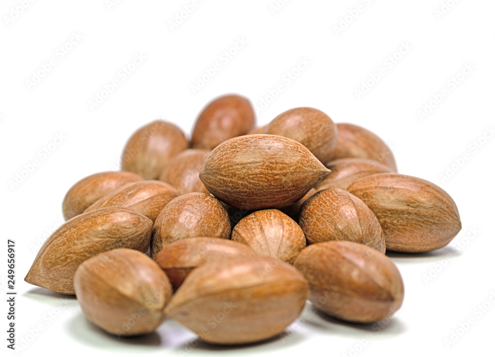 Pekannüsse, Carya illinoinensis, isoliert vor weißem Hintergrund Pekannüsse, Carya illinoinensis, isoliert vor weißem Hintergrund