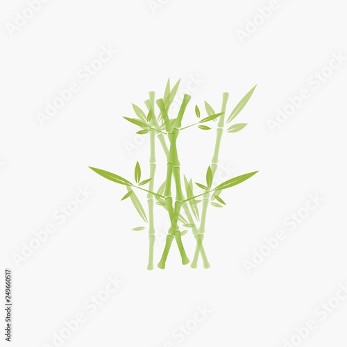 Fototapeta Naklejka Na Ścianę i Meble -  bamboo tree logo