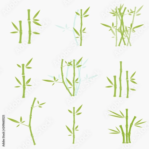 set of green bamboo vector illustration