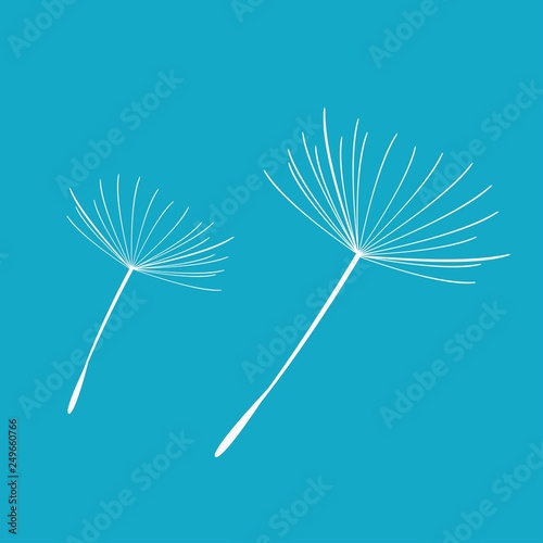 Fototapeta Naklejka Na Ścianę i Meble -  Silhouette of a dandelion with flying seeds. Black contour of a dandelion. Black and white illustration of a flower. Summer plant.