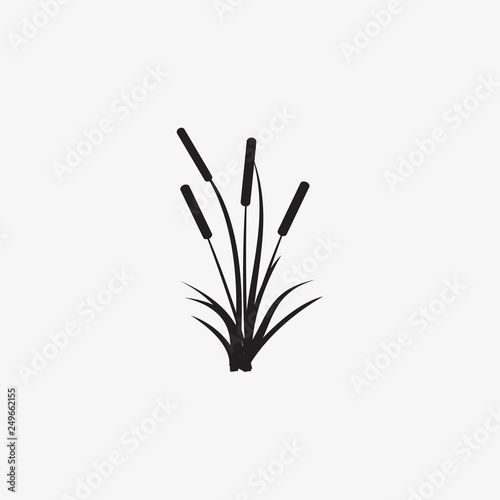 reeds illustration vector icon