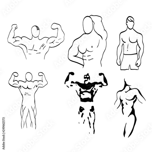 Sketch of man torso