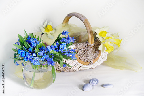 Still life with a bouquet of spring snowdrops and daffodils in a vase and a basket on a white background