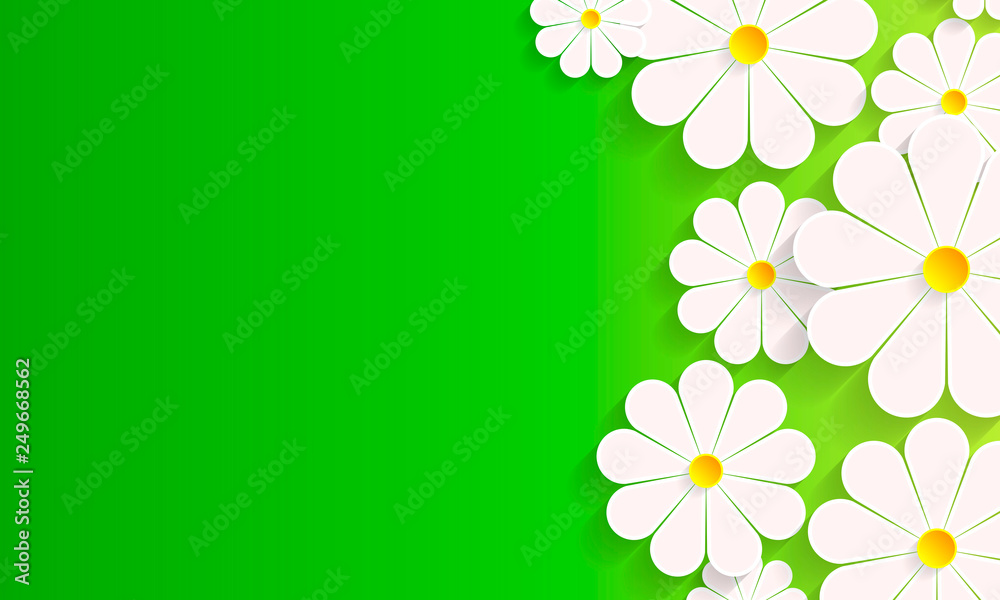 green spring background with daisy flowers green spring background with daisy flowers