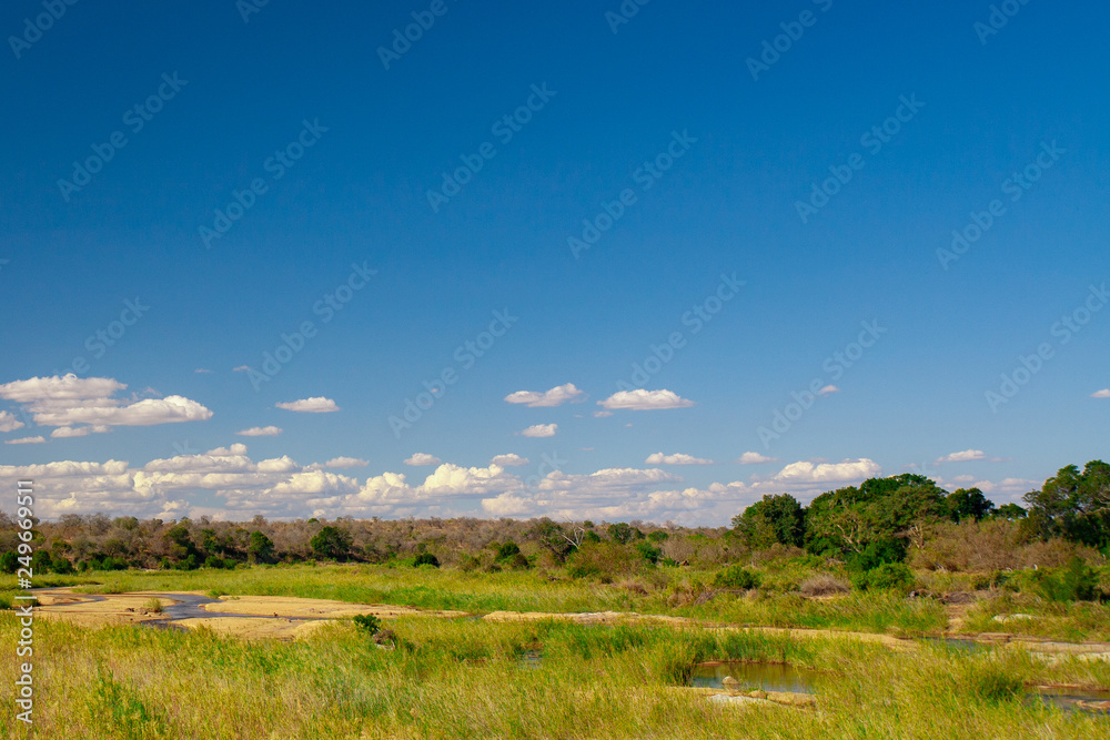 African landscape in the Kruger National Park, South Africa