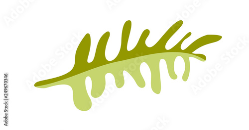 Vector flat abstract green plants flower herbs icon. Meadow garden spring easter, women day romantic holiday, wedding invitation card decoration element summer floral Illustration white background