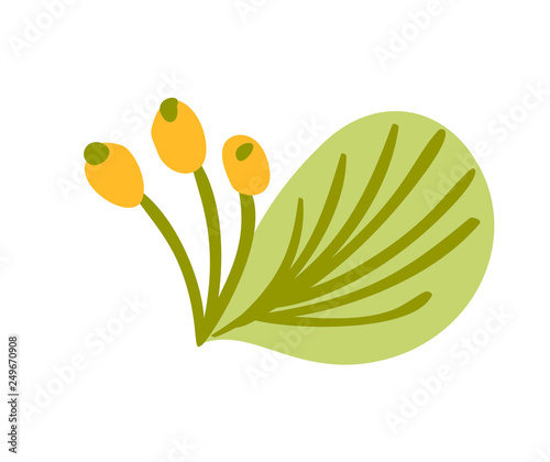 Cute vector isolated Flower on white background. Spring hand drawn Nature illustration flat design. For greeting card, print, children book
