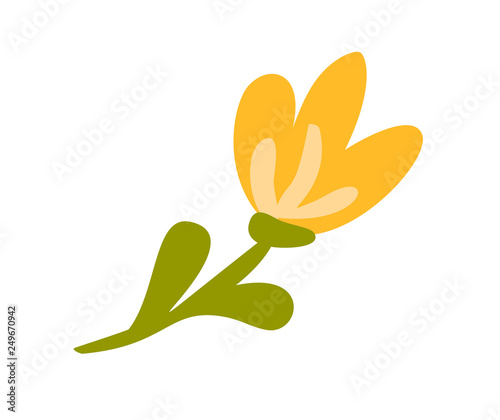 Cute vector isolated Flower on white background. Spring hand drawn Nature illustration flat design. For greeting card, print, children book