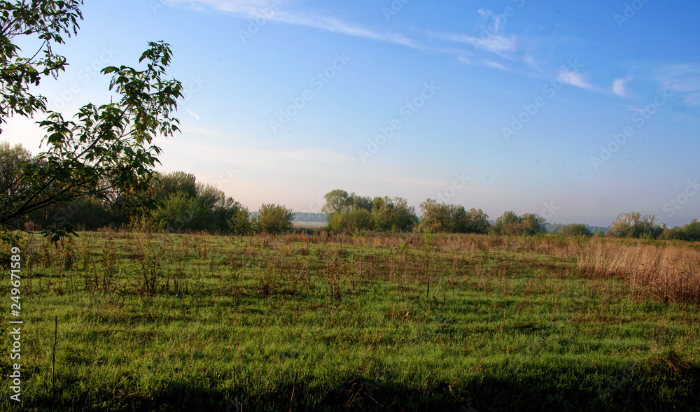 Obraz premium Morning