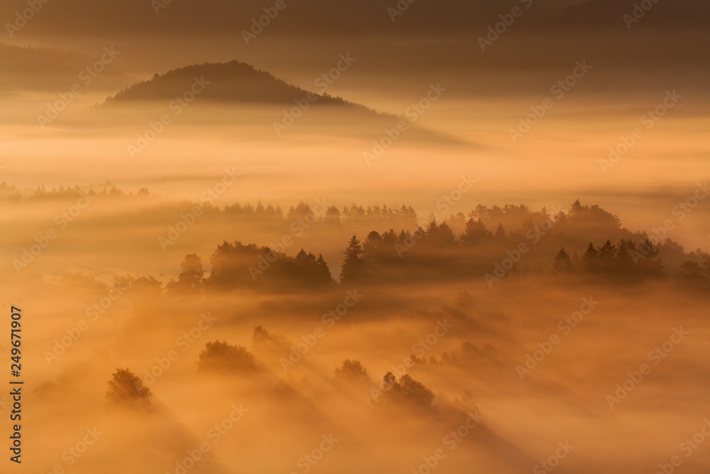 Obraz premium Beautiful summer or autumn sunrise above the forest valley of National park Bohemian Switzerland. Warm sunrise above the deep misty valley. Wonderful landscape background concept. Rays of lights 