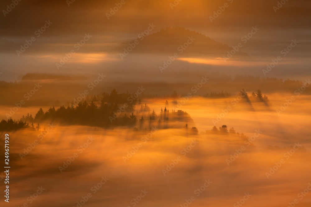 Beautiful summer or autumn sunrise above the forest valley of National park Bohemian Switzerland. Warm sunrise above the deep misty valley. Wonderful landscape background concept. Rays of lights 
