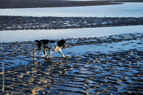 Photography Beach - Dublin - Ireland