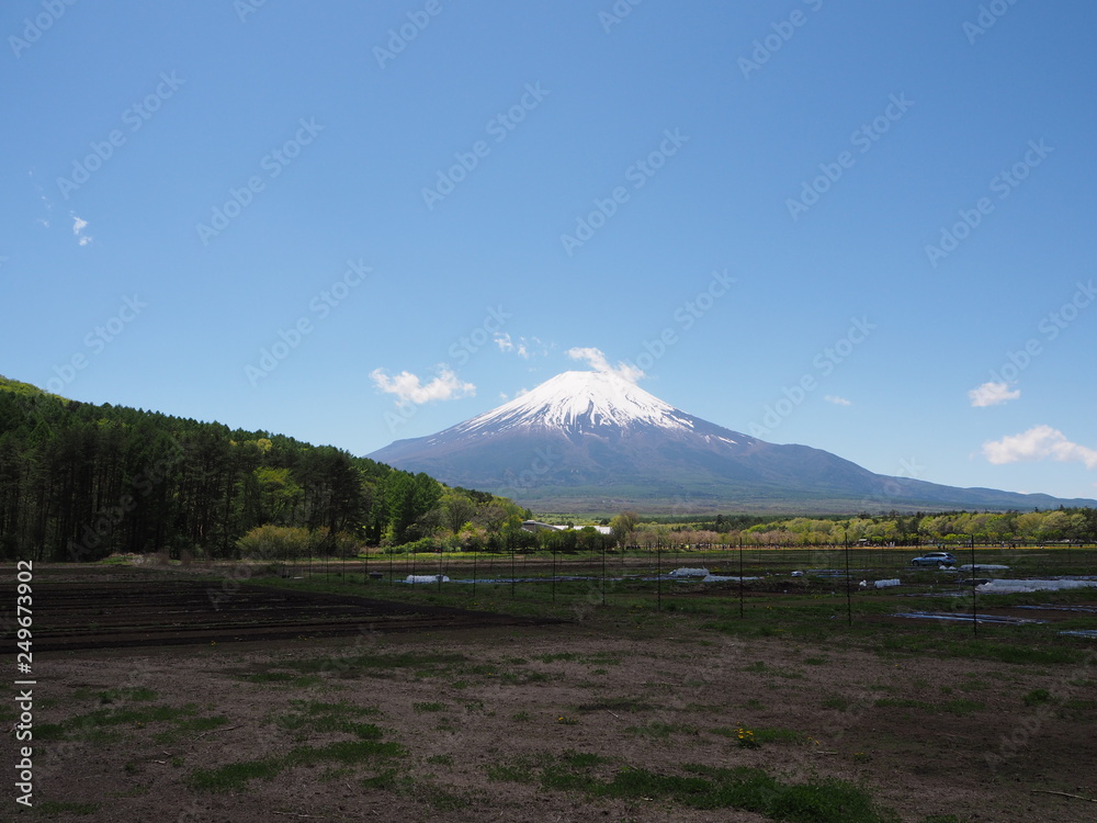Obraz premium Góra Fuji i rozległa okolica