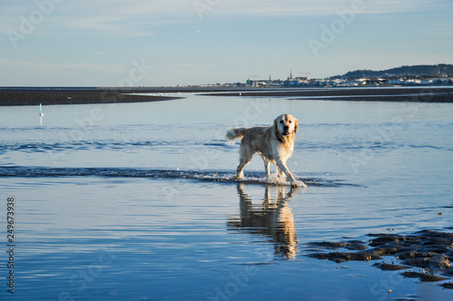 Beach - Dublin - Ireland