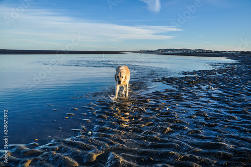 Photography Beach - Dublin - Ireland