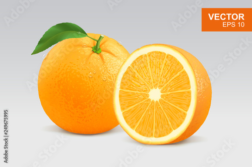 Realistic orange vector illustration  mockup. Whole and half slice of orange