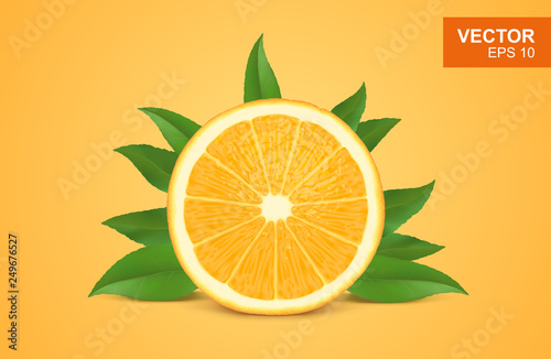 Slice of fresh orange realistic 3D illustration, design element