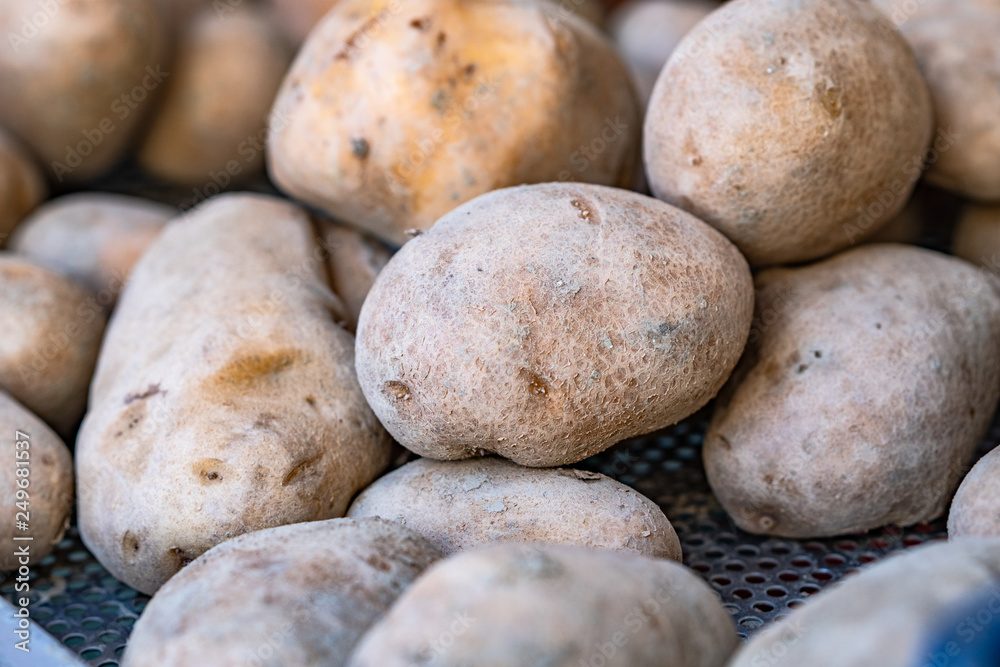 Fresh organic potatoes at the market, close up.