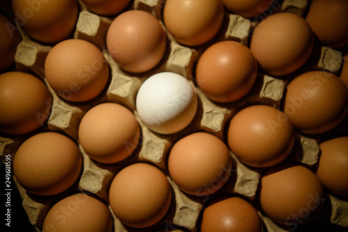 Fresh white egg on brown background, tray of chicken eggs on black background