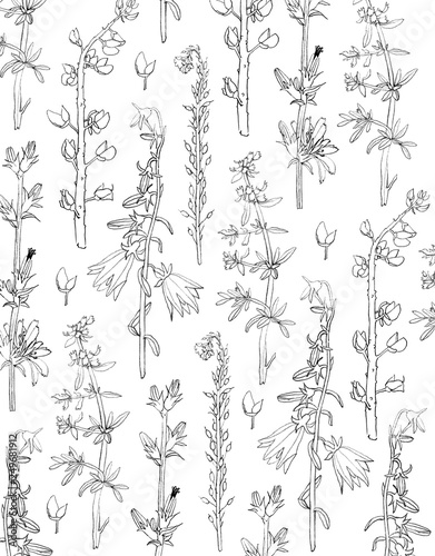 Fototapeta Naklejka Na Ścianę i Meble -  Floral background
