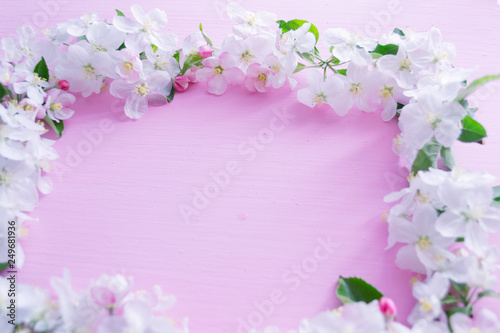 Flowering apple tree branches on a pink wooden background