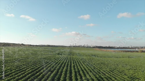 Wallpaper Mural Top bird aerial flyover of lush green fields, trees, city and sea Israel Torontodigital.ca