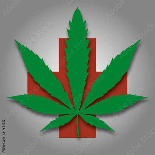 Marijuana hemp (Cannabis sativa or Cannabis indica) leaf on white background