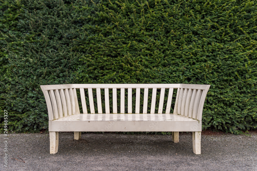 Victorian White wooden Park Bench in front of a large hedge.