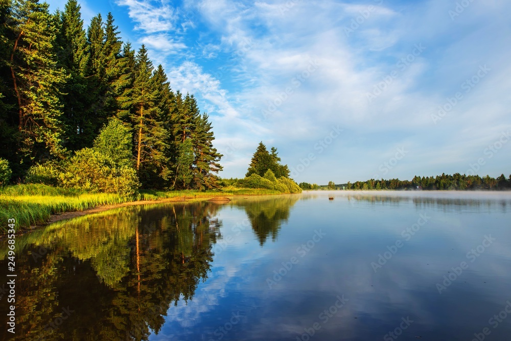 Forest lake (pond) in summer morning.