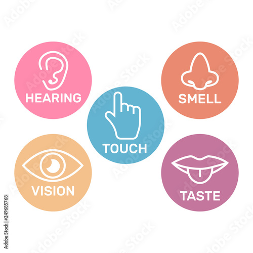 Icon set of five human senses. 5 senses symbols