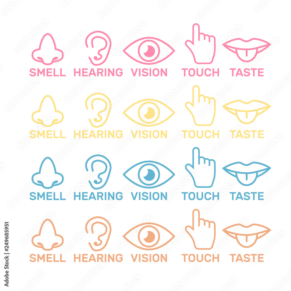 Sets of icons representing the five senses. Sight, smell, hearing, touch, taste icons vector Sets of icons representing the five senses. Sight, smell, hearing, touch, taste icons vector