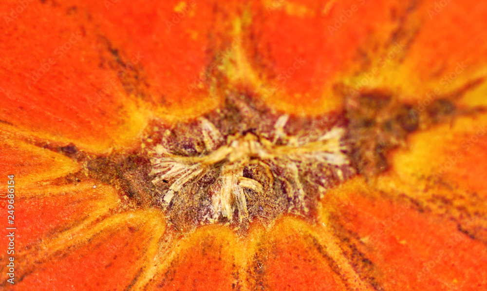 Detalle de un tomate para fondos