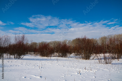 walk, nature, landscape, snow, winter, trees, shadow, blue, sky, clouds, observation