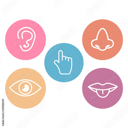 Five senses icons. 5 senses symbols