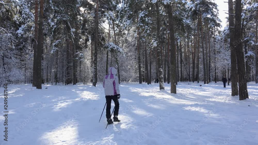 Nordic walker girl in a winter pine park. Nordic walker girl in a winter pine park.