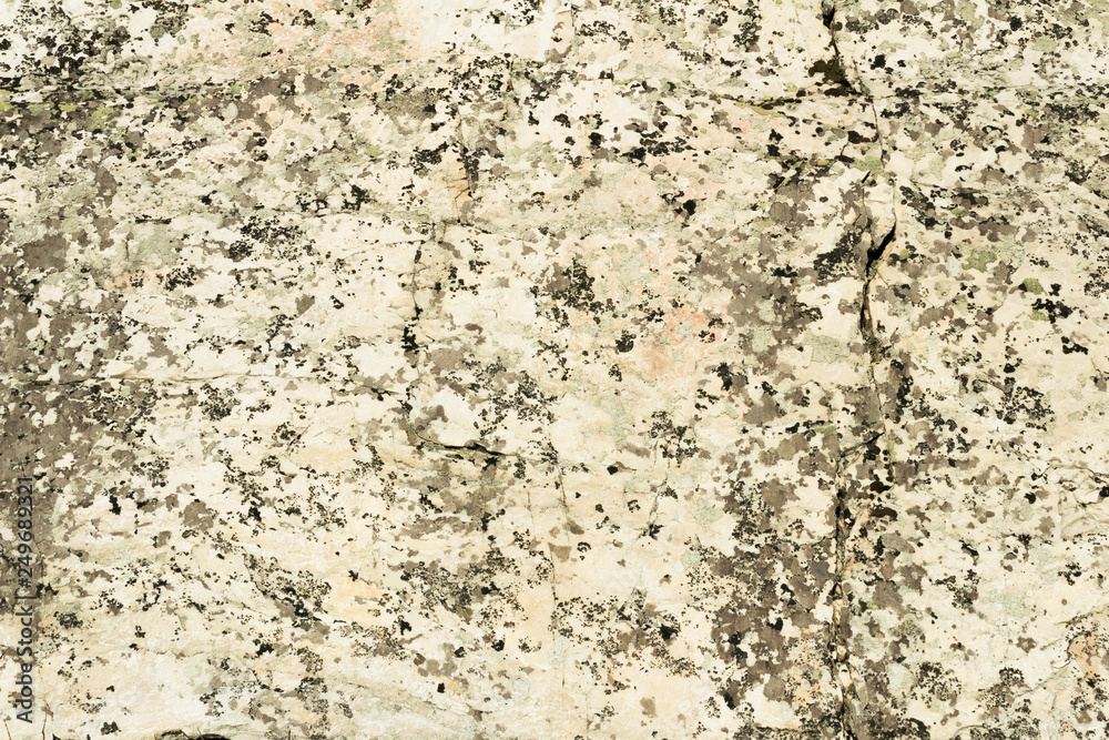 beige natural stone texture with variegated stains