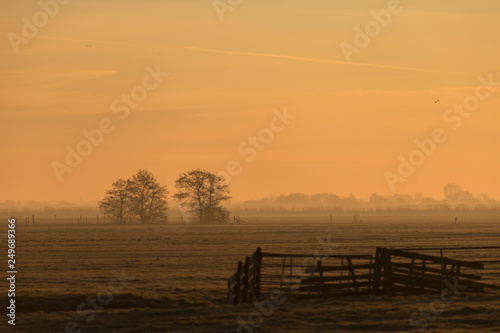 Open field landscape with wooden fence and row of trees on a foggy horizon and orange yellow hazy sky