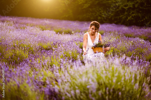 Woman at lavender flower field in summer sunset