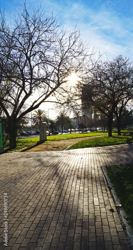 Atardecer en los jardines de La Nova Icaria de Barcelona, Catalunya, España